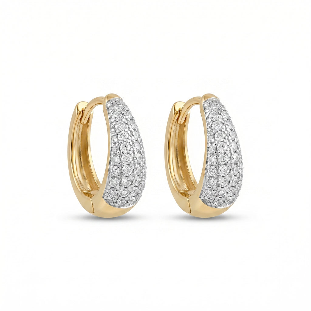 Silver Ring Shine Earrings