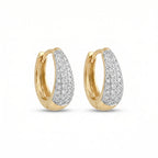 Silver Ring Shine Earrings