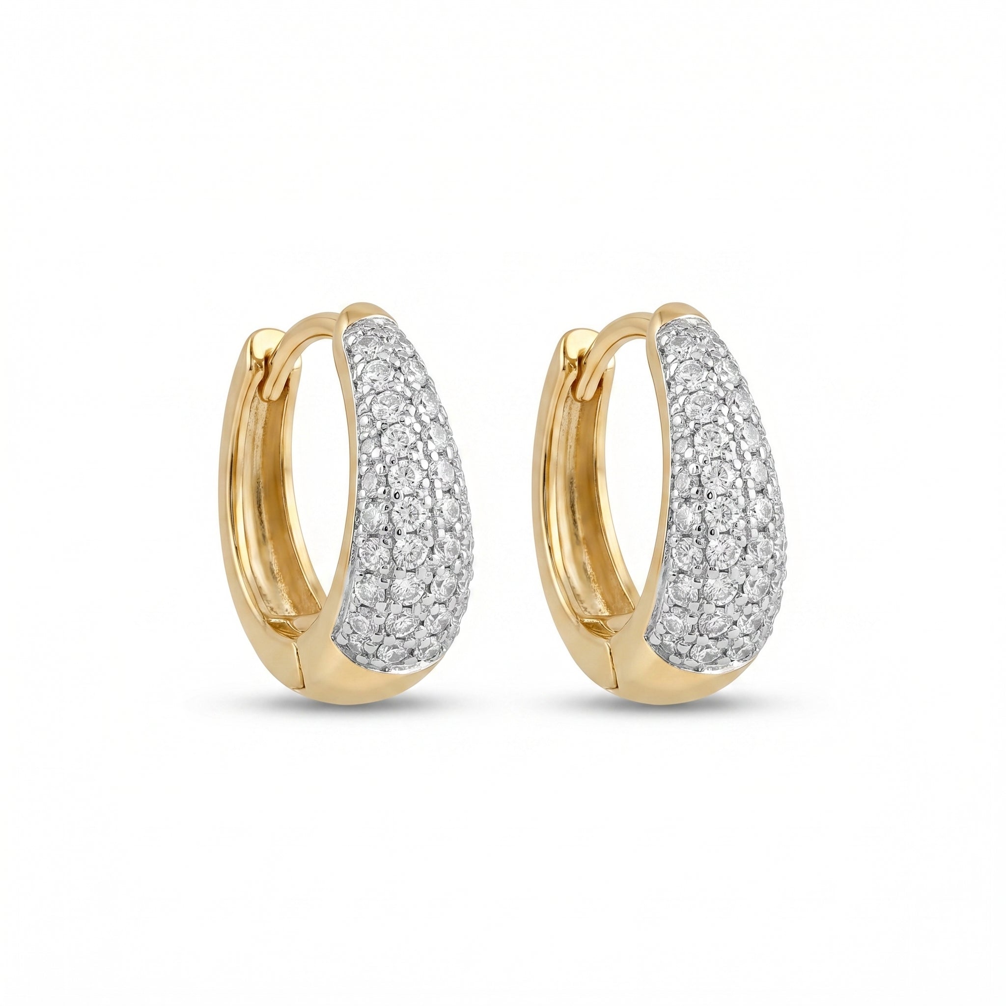 Silver Ring Shine Earrings