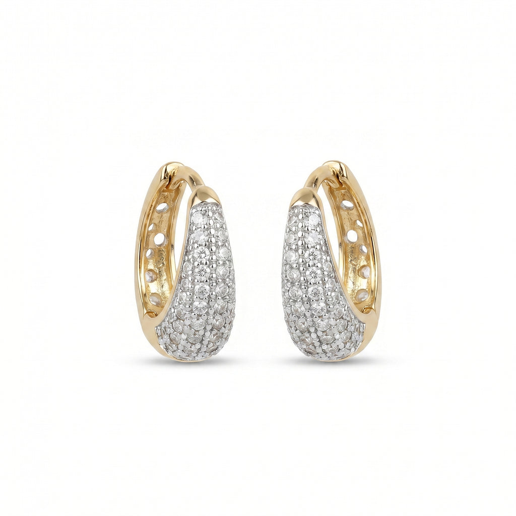 Silver Ring Shine Earrings