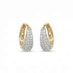 Silver Ring Shine Earrings